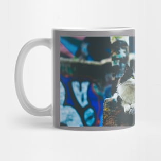 Cat Blue Mug